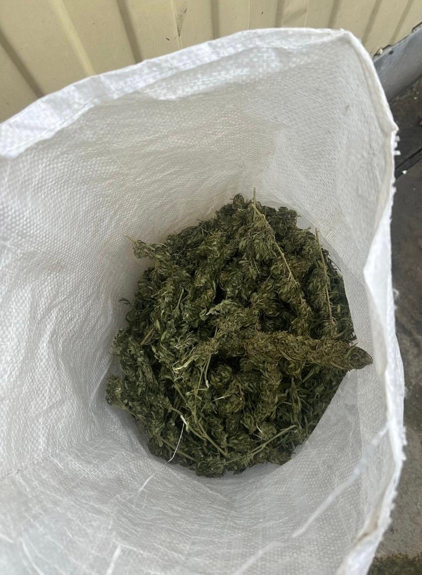 3,2 кг конопли нашли полицейские дома у жителя Новоалександровска 3,2 кг конопли нашли полицейские дома у жителя Новоалександровска