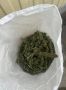 Новоалександровские полицейские обнаружили у местного жителя 3,2 кг наркосодержащих растений