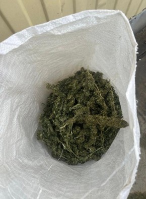 Новоалександровские полицейские обнаружили у местного жителя 3,2 кг наркосодержащих растений