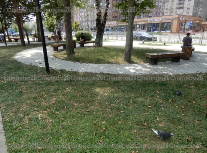 В Ставрополе бывший директор коммерческой организации обвиняется в мошенничестве при исполнении муниципального контракта В Ставрополе бывший директор коммерческой организации обвиняется в мошенничестве при исполнении муниципального контракта