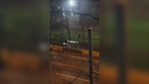 В Ставрополе неизвестный мужчина ночью разбил остановку и проник на территорию школы