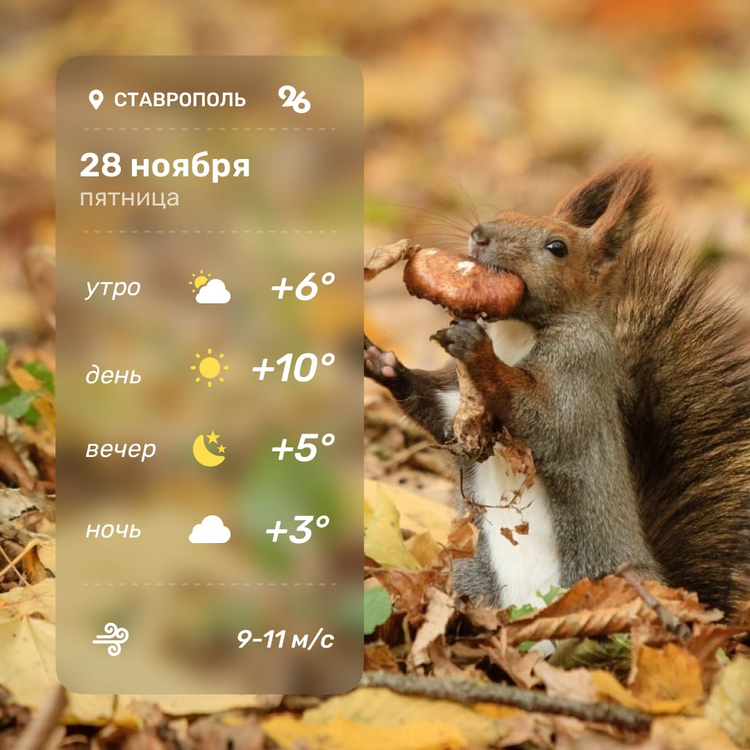 Погода в Ставрополе 28 ноября