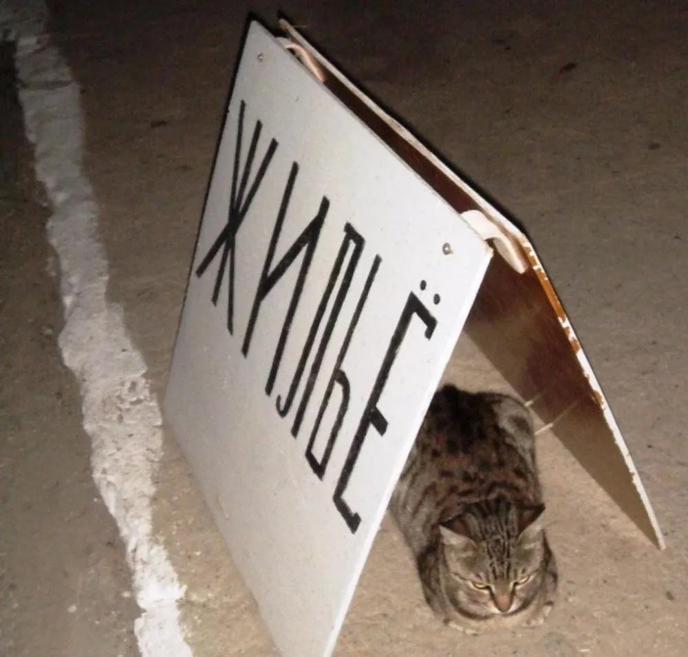 На 1-2% в январе 2026 года подорожают новые квартиры в России На 1-2% в январе 2026 года подорожают новые квартиры в России