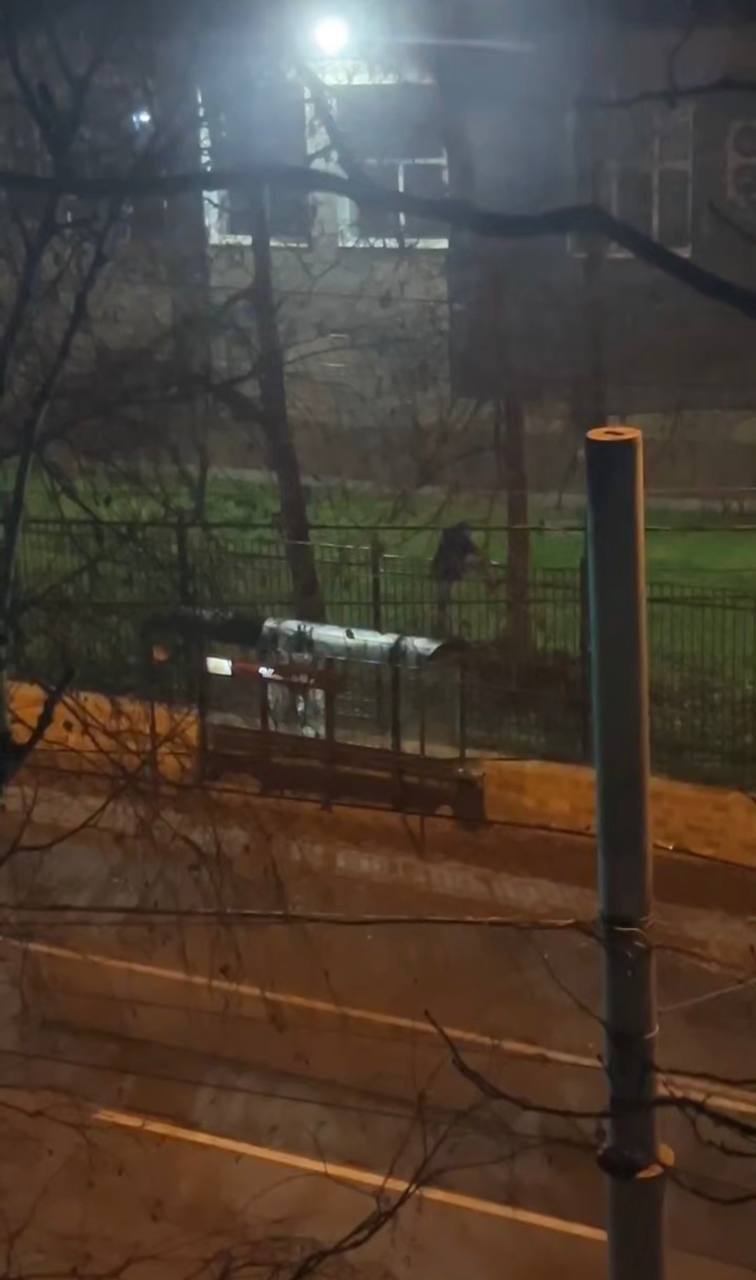 Борца с остановками ищут в Ставрополе