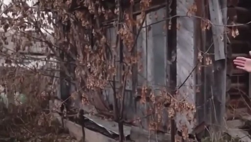 Поддержим Машу Никулину — финалистку шоу «Голос. Дети»