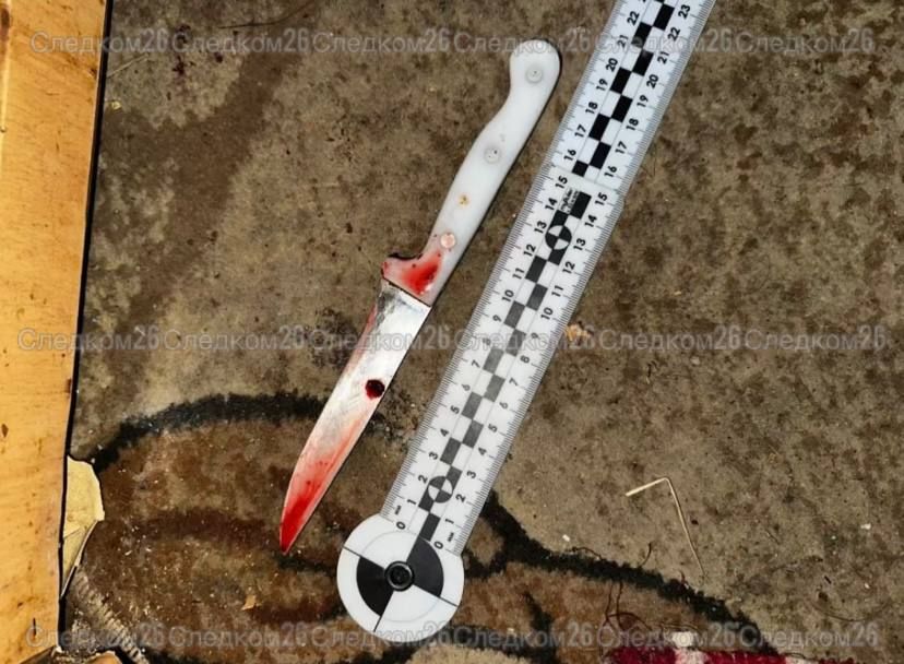 В Изобильном мужчина обвиняется в убийстве брата