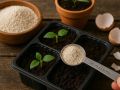 Кальциевая мука: домашнее удобрение из яичной скорлупы, которое укрепит ваши растения