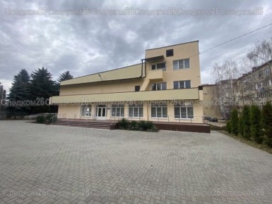 В Предгорном округе директор коммерческой организации признан виновным в мошенничестве