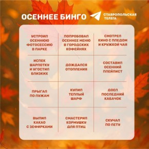 Осеннее «бинго»! До начала зимы осталось всего несколько дней!