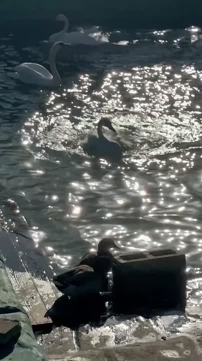 Солнечный ноябрь в ставропольском парке