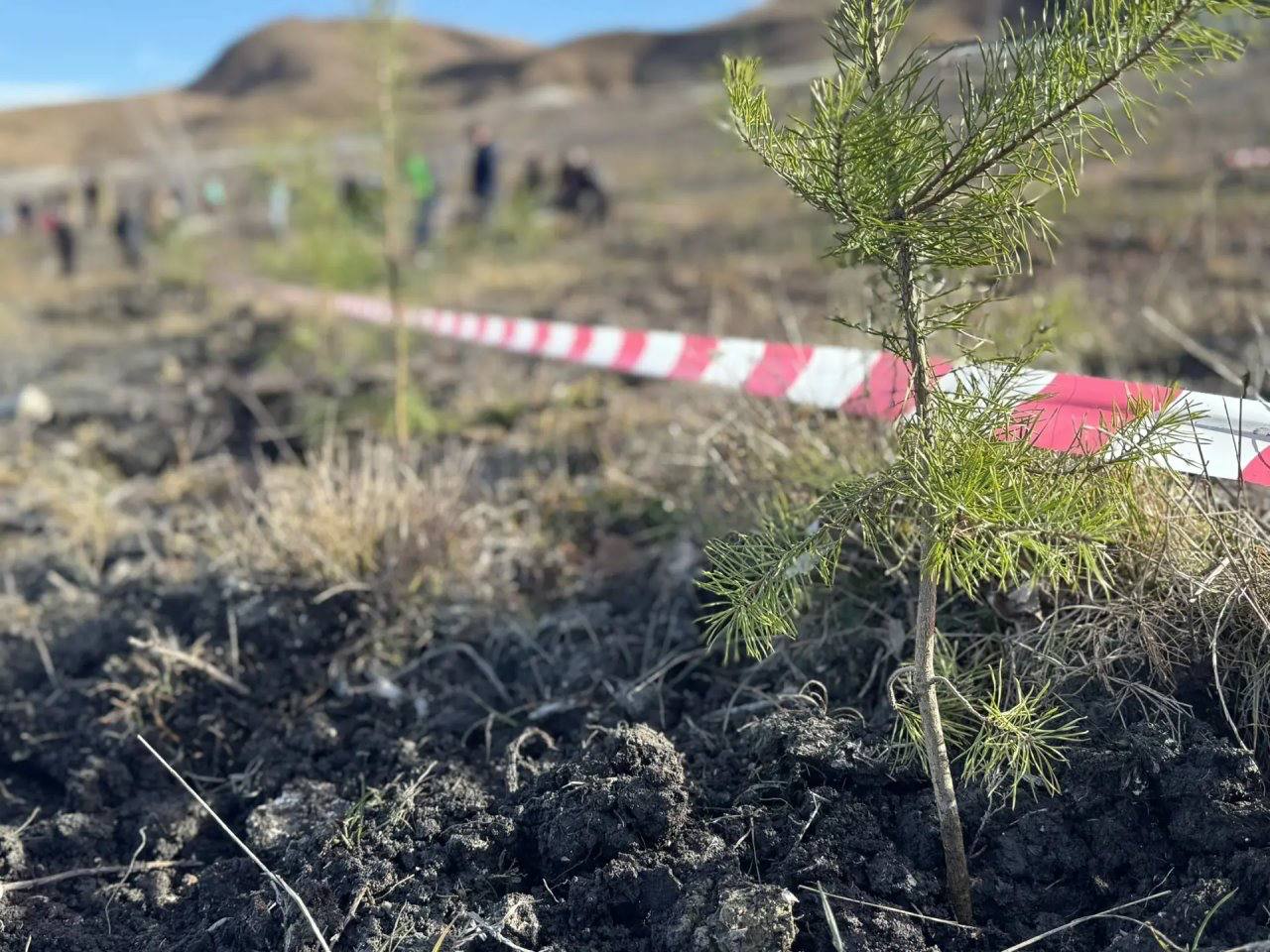 Евгений Моисеев: Спасибо всем принявшим участие - большое дело сделали! Евгений Моисеев: Спасибо всем принявшим участие - большое дело сделали!