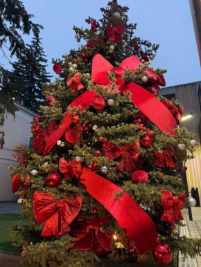 Дмитрий Ворошилов: Бизнес города уже начал украшать прилегающие территории к Новому году