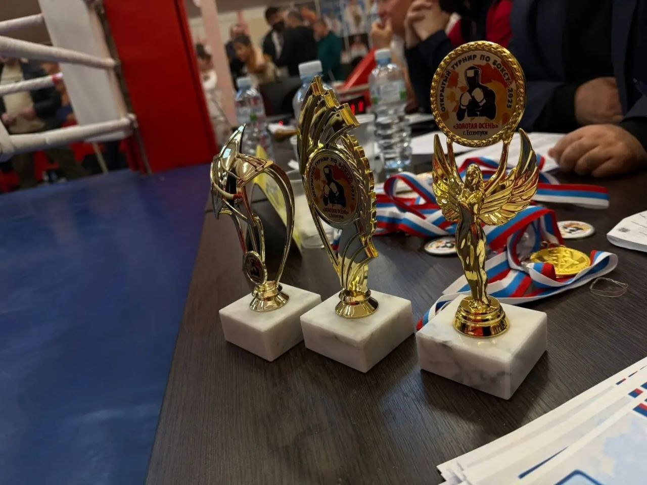 В Ессентуках прошёл открытый турнир по боксу «Золотая осень», посвящённый памяти бойцов погибших в СВО В Ессентуках прошёл открытый турнир по боксу «Золотая осень», посвящённый памяти бойцов погибших в СВО