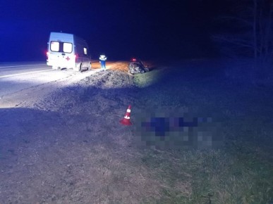 В Грачевском округе в результате съезда с дороги погиб водитель