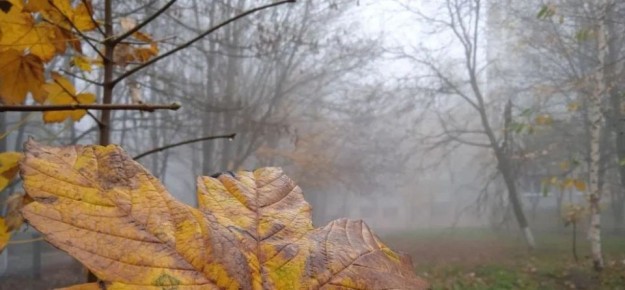 Последние теплые дни ждут жителей Ставропольского края