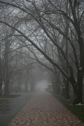 На зловонный запах жалуются жители Ставрополя