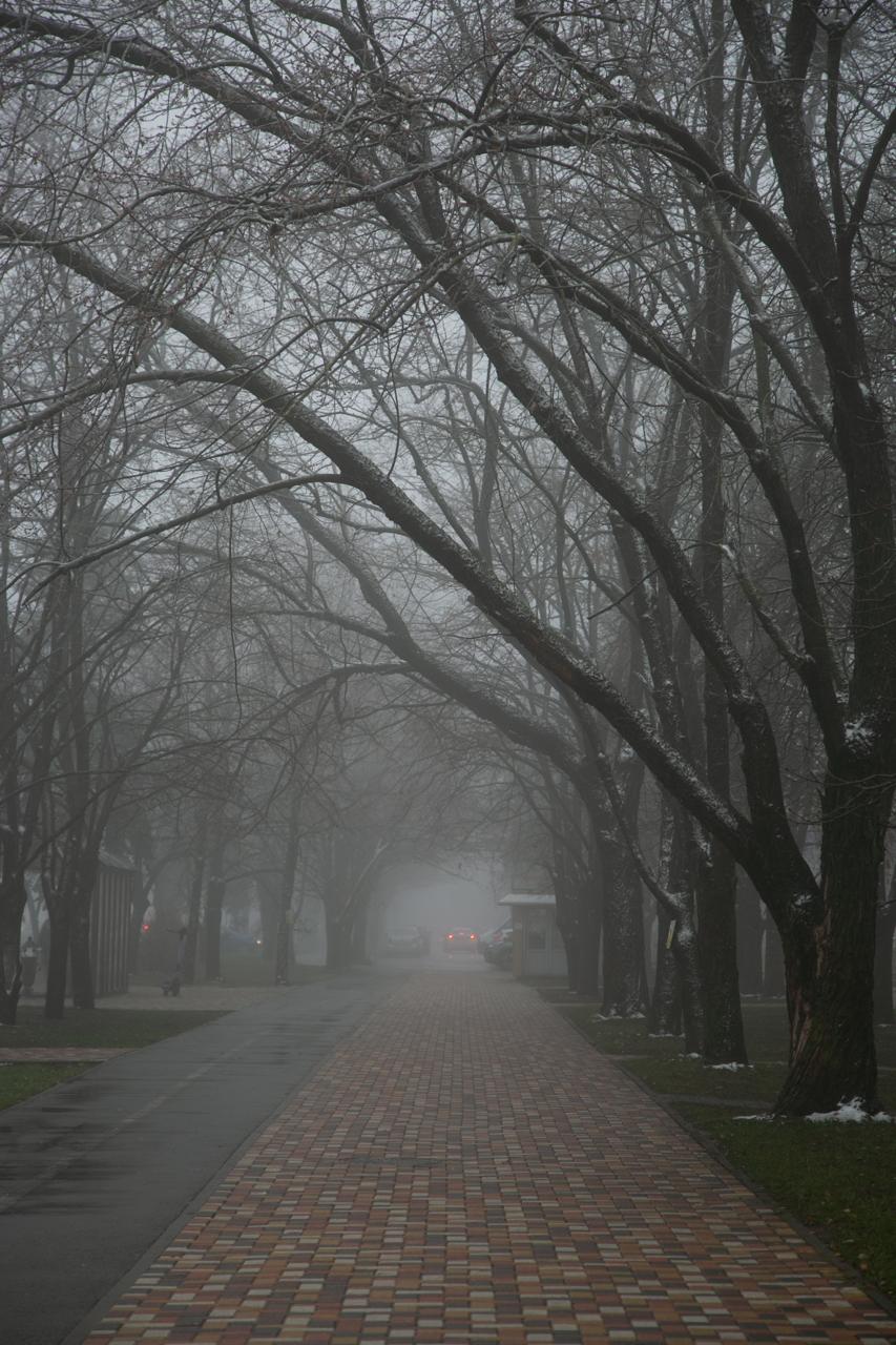На зловонный запах жалуются жители Ставрополя