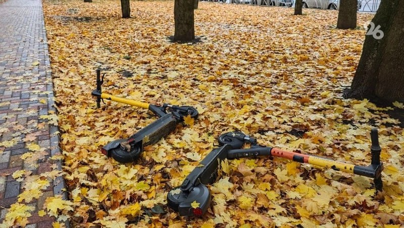 Повторное голосование по работе электросамокатов проведут на Ставрополье в январе
