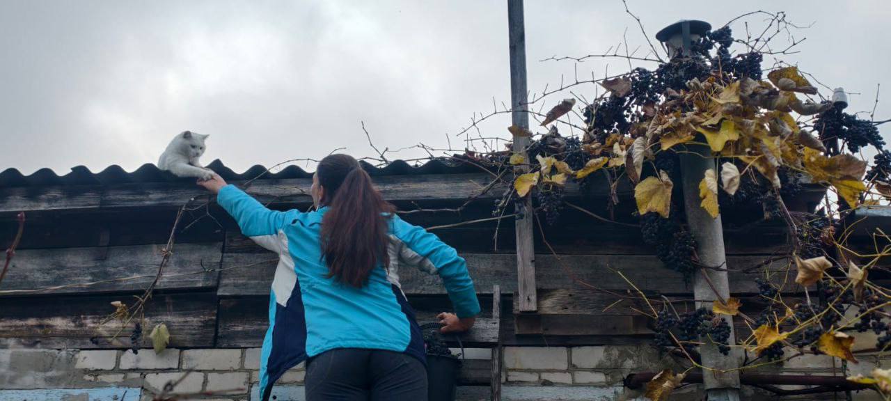 Котик с утра понедельника весь в делах: надо помогать своим кожаным собрать виноград — сами не справятся! Котик с утра понедельника весь в делах: надо помогать своим кожаным собрать виноград — сами не справятся!