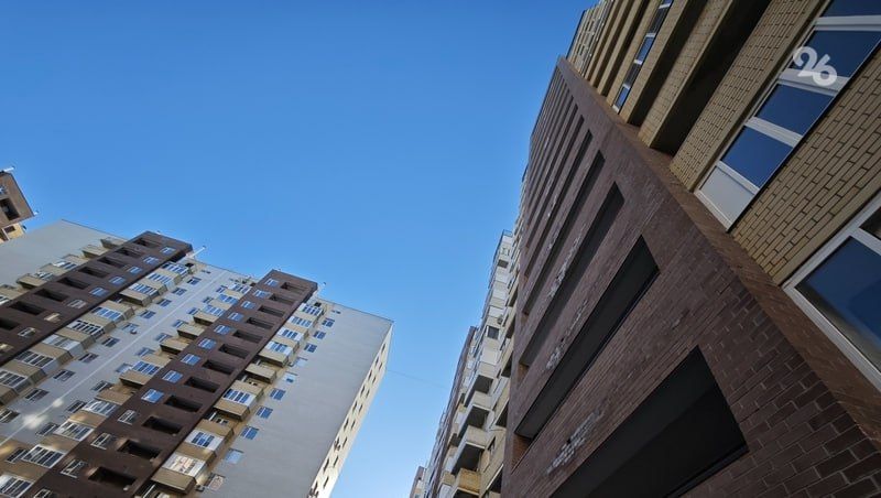 Ставропольский юрист раскритиковала введение периода охлаждения против «схемы Ларисы Долиной»