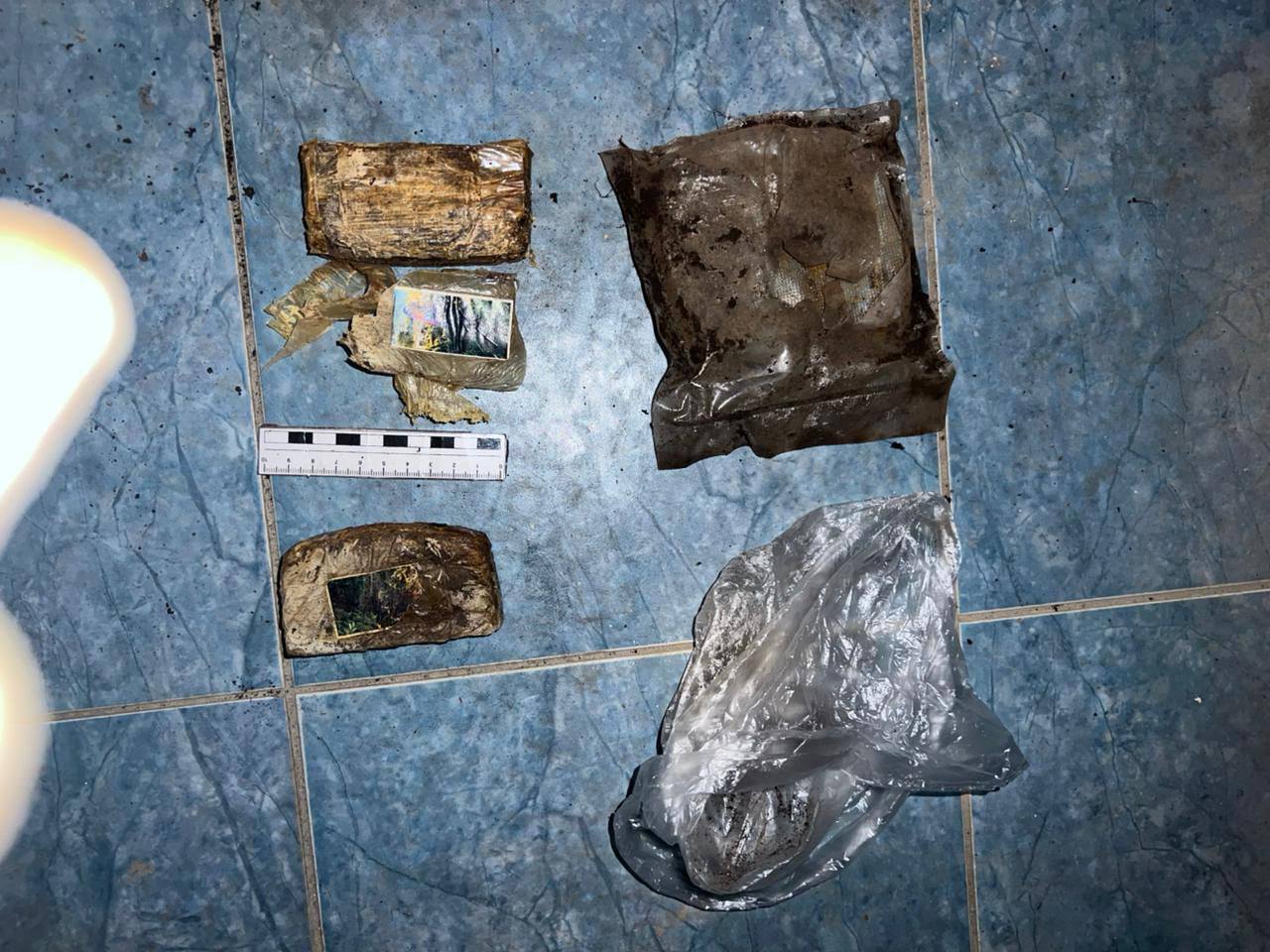 Более 3 килограммов наркотиков изъяли у пятигорчанки Более 3 килограммов наркотиков изъяли у пятигорчанки