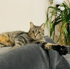 Серёга желает всем плодотворного рабочего дня и просит не забывать, что вас любят и ждут дома