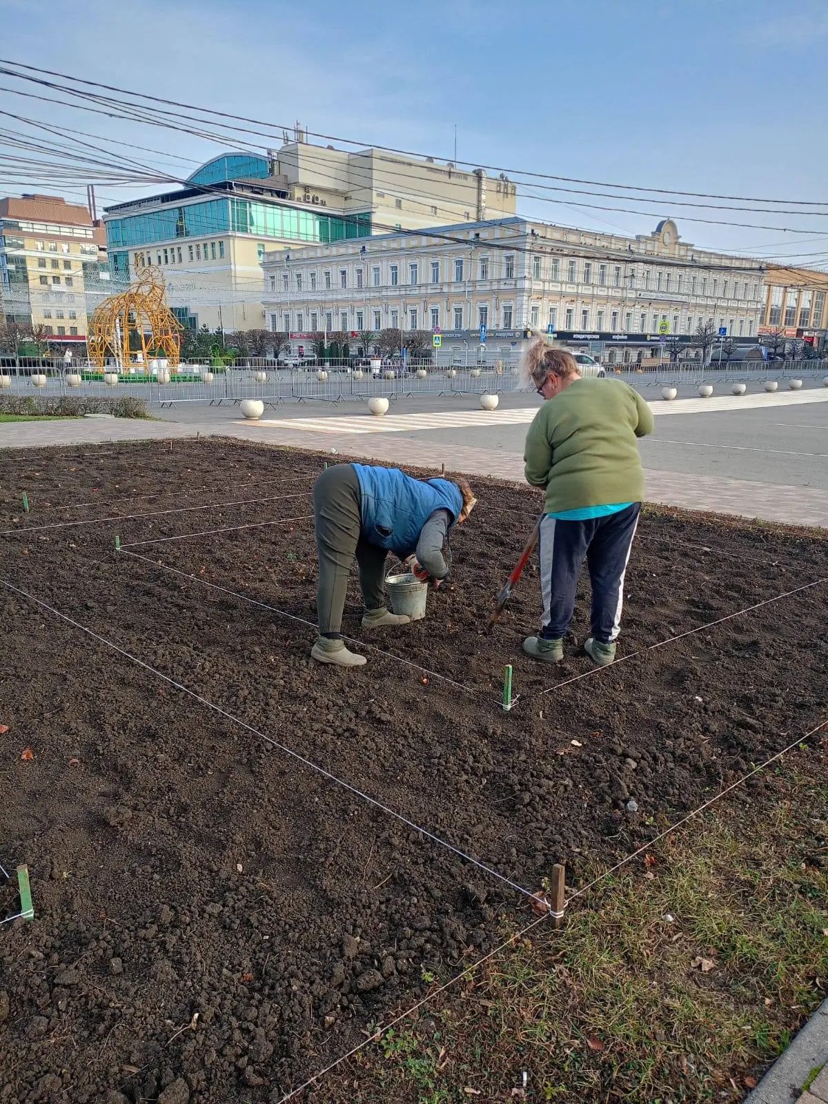 Клумбы Ставрополя готовятся встретить холода Клумбы Ставрополя готовятся встретить холода