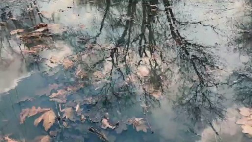 По данным синоптиков, завтра на Ставрополье утром местами туман, морось