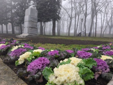 Иван Ульянченко: С понижением температуры ставропольские озеленители приступили к обновлению городских клумб и подготовке их к зиме