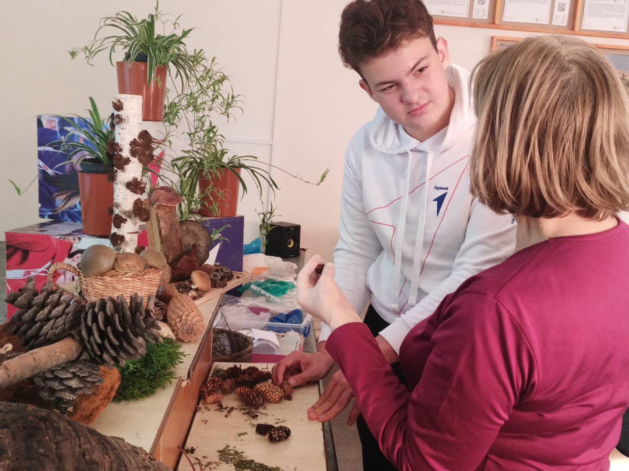 В рамках программы «ЧИСТО Кисловодск» для детей города регулярно проводят экологические занятия В рамках программы «ЧИСТО Кисловодск» для детей города регулярно проводят экологические занятия