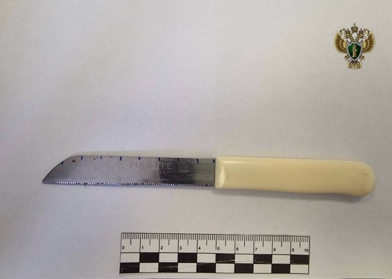 Житель Шпаковского округа предстал перед судом за причинение тяжкого вреда здоровью, повлекшее смерть потерпевшего Житель Шпаковского округа предстал перед судом за причинение тяжкого вреда здоровью, повлекшее смерть потерпевшего