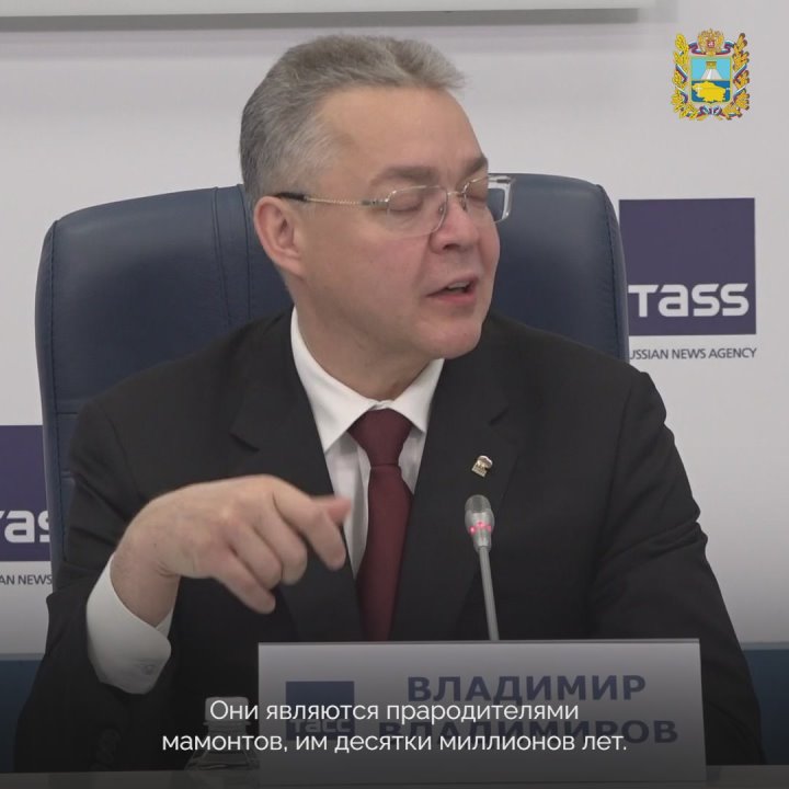 Губернатор рассказал, почему Ставрополье — родина слонов