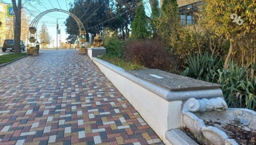 Реставрация «Дельфинов» в Ставрополе затянулась из-за корректировки проекта