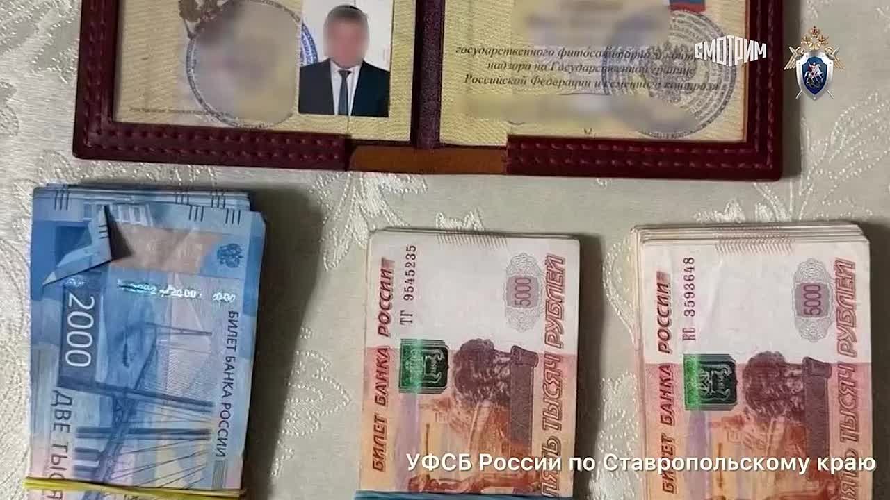 Замруководителя управления Россельхознадзора по СКФО обвиняется в получении взятки в особо крупном размере, сообщили в УФСБ России по Ставропольскому краю