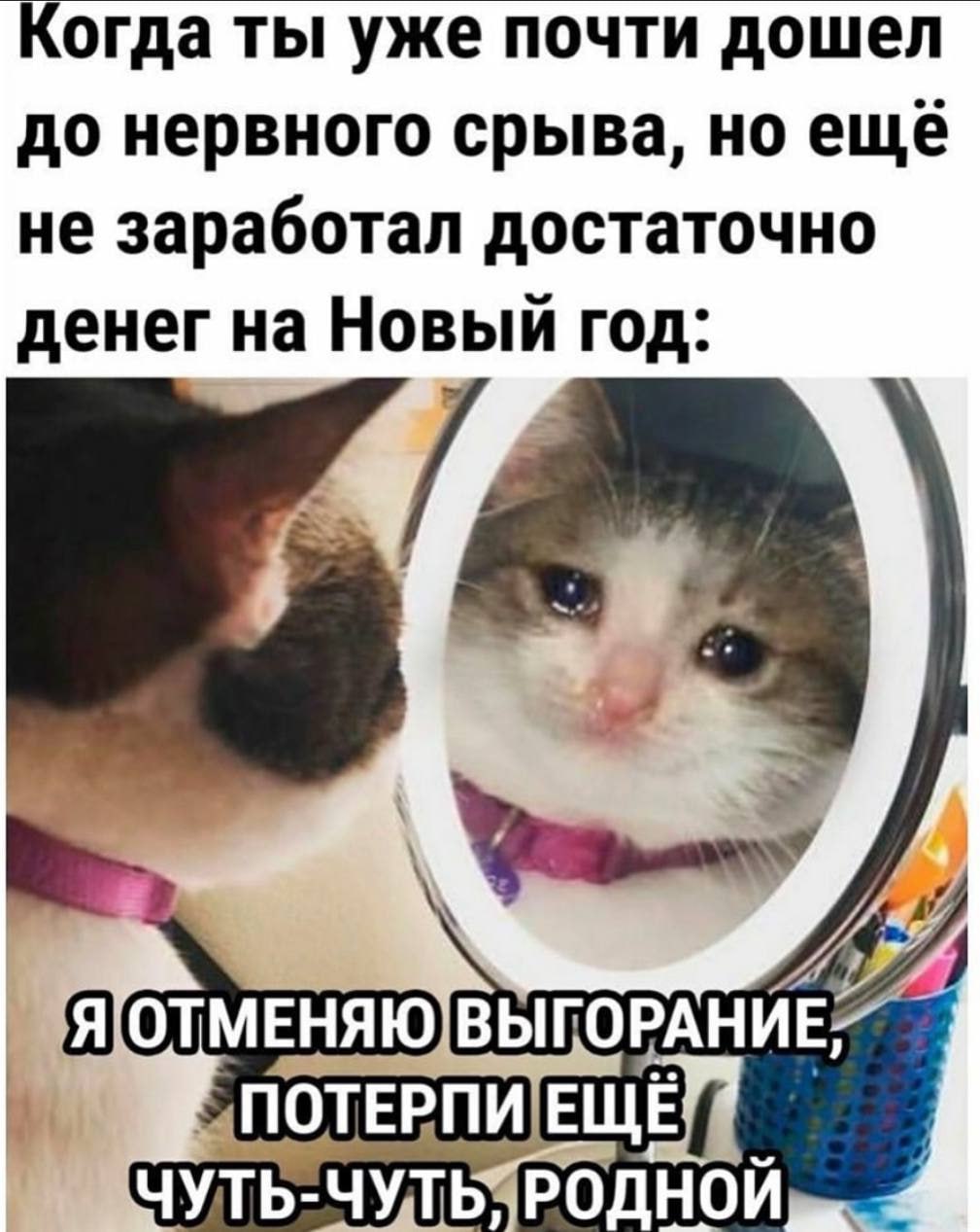 Каждый второй ставрополец задумывается о подработке к Новому году