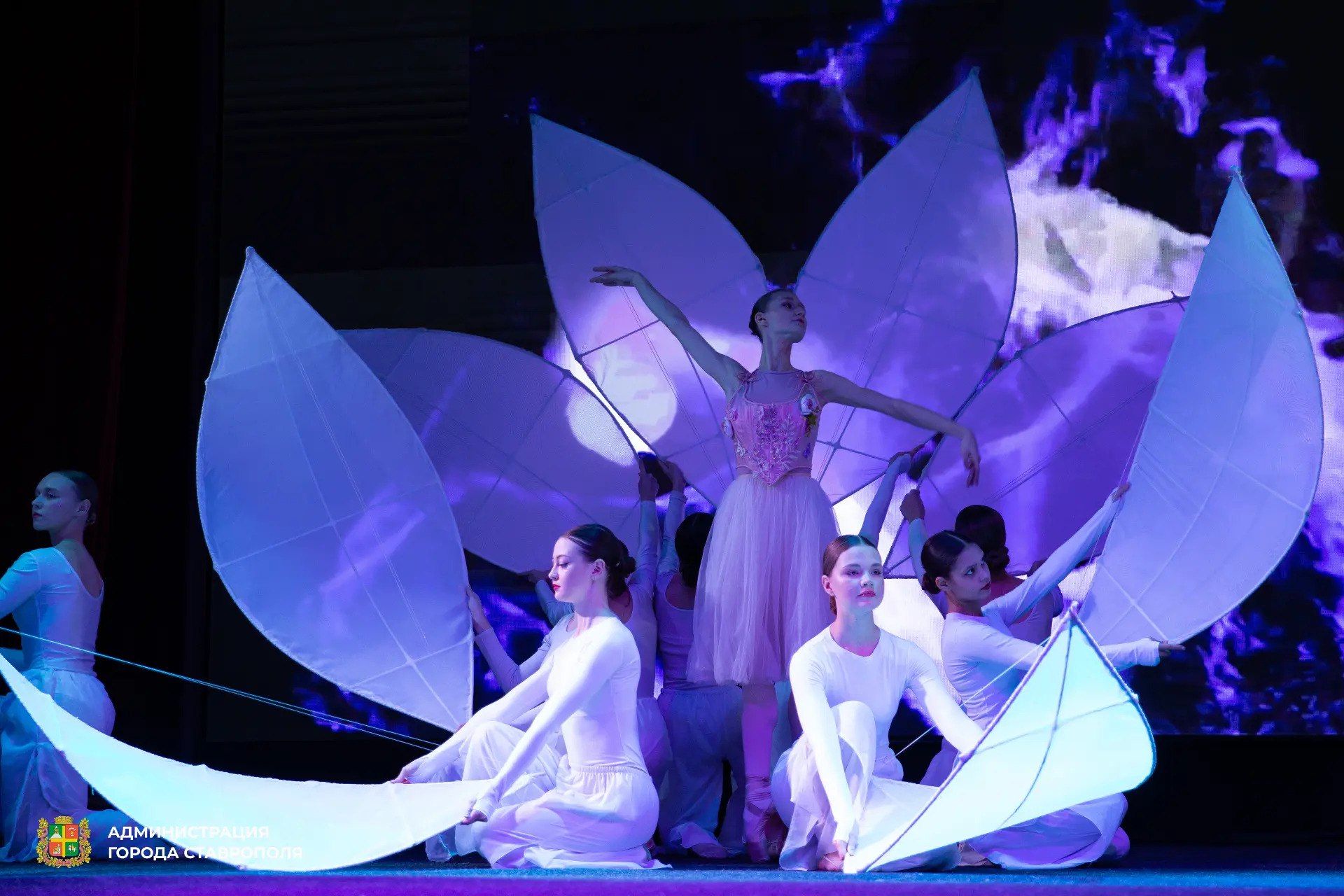 В первые дни декабря свой день рождения отмечает одно из самых известных и заметных своей работой предприятий Ставрополя – «Горзеленстрой» В первые дни декабря свой день рождения отмечает одно из самых известных и заметных своей работой предприятий Ставрополя – «Горзеленстрой»