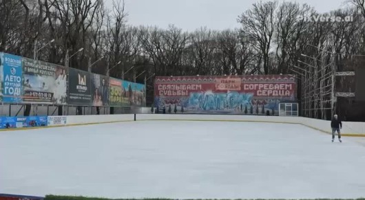 Хотите так же, как эта белка?