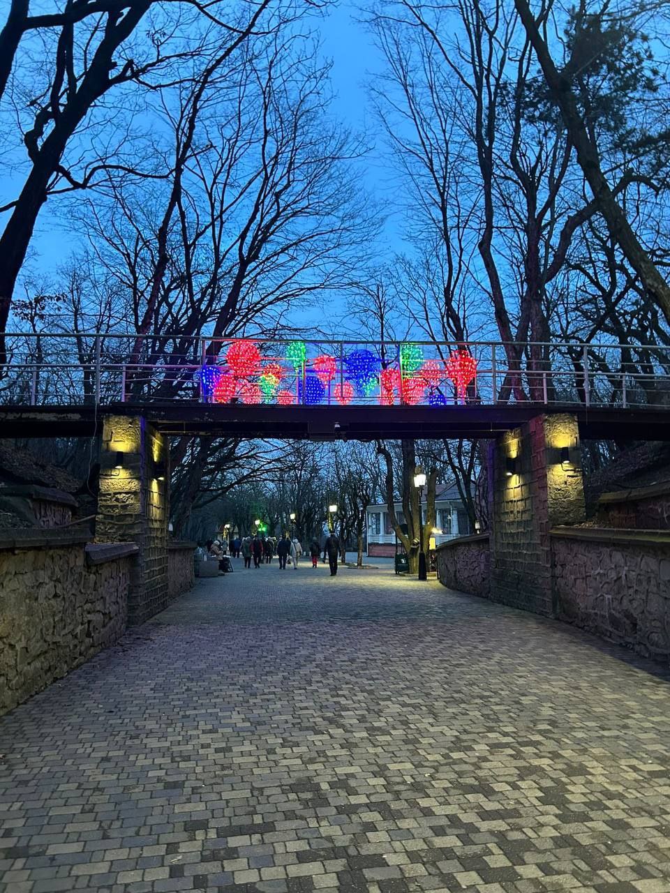 Главная новогодняя ёлка Железноводска переехала в Курортный парк Главная новогодняя ёлка Железноводска переехала в Курортный парк