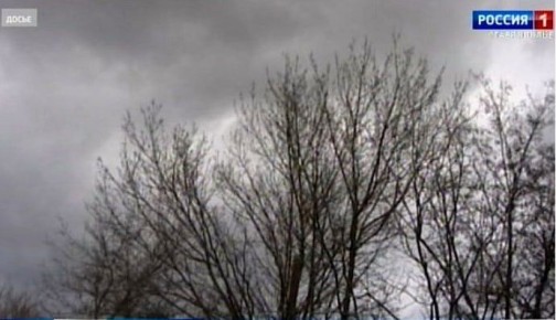 На Ставрополье в ближайшие несколько дней будет бушевать сильный ветер, порывы которого достигнут 20 м/с