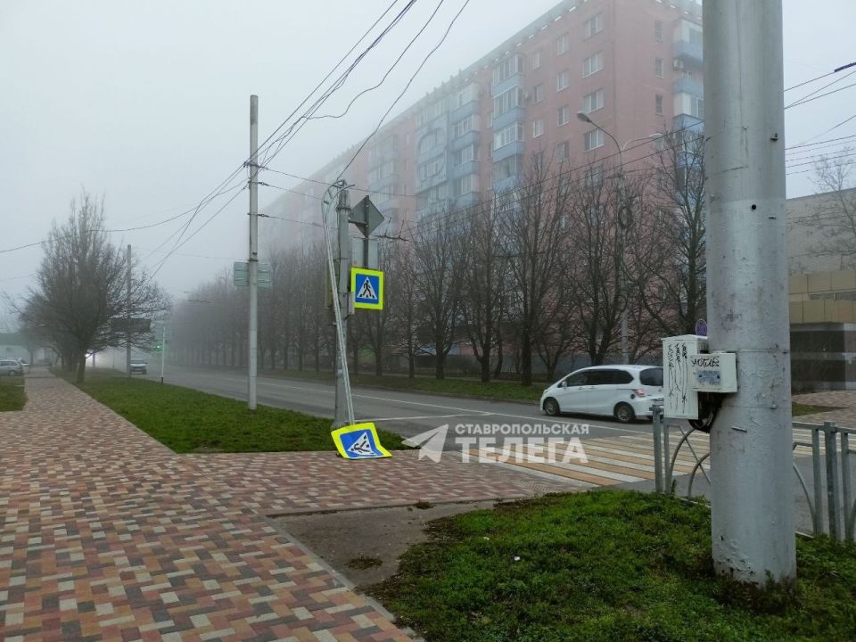 ���� ����� ������ �� ��������� ������ � ����������