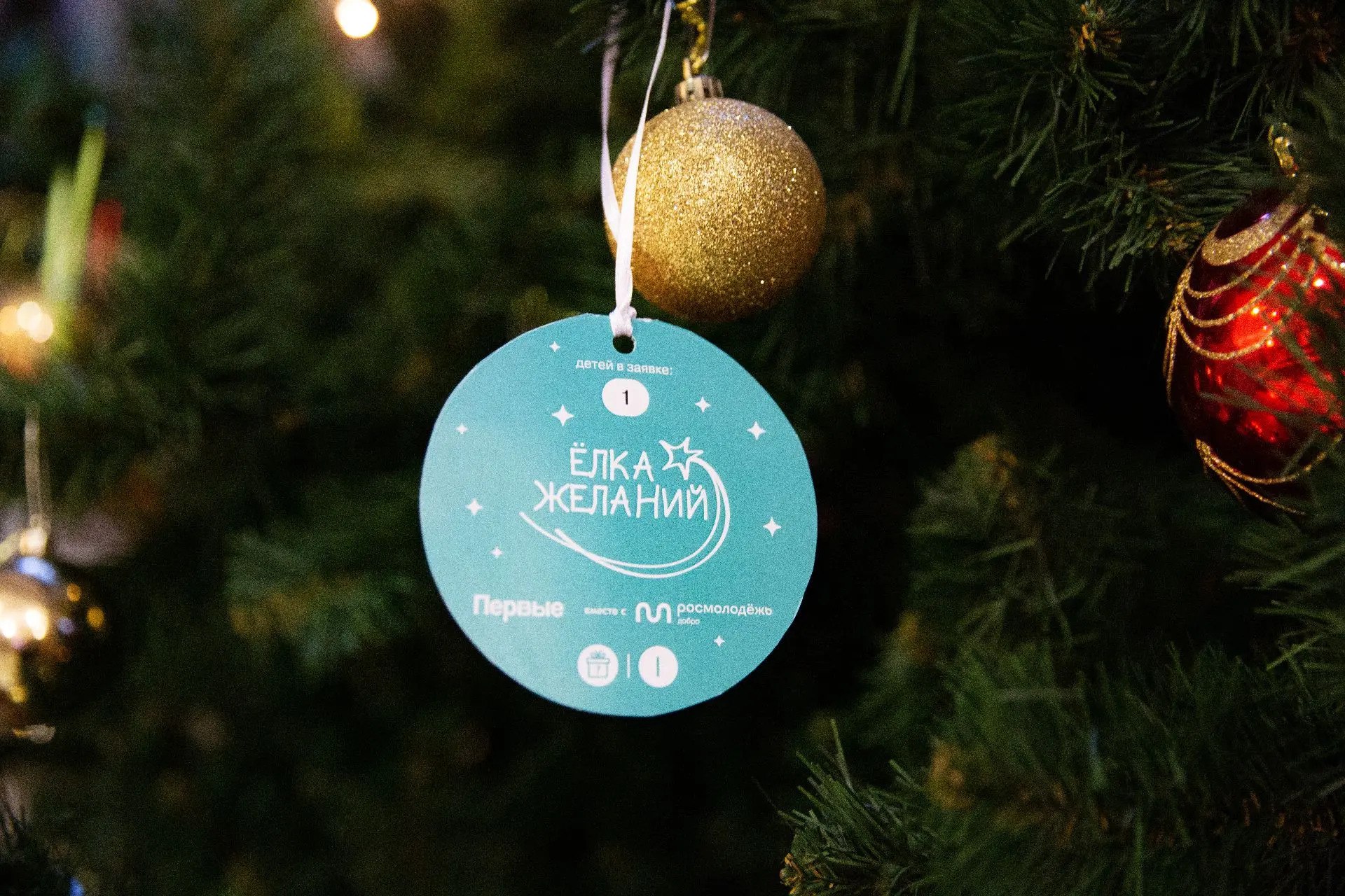 Ставрополь присоединяется к Всероссийской акции «Елка желаний»