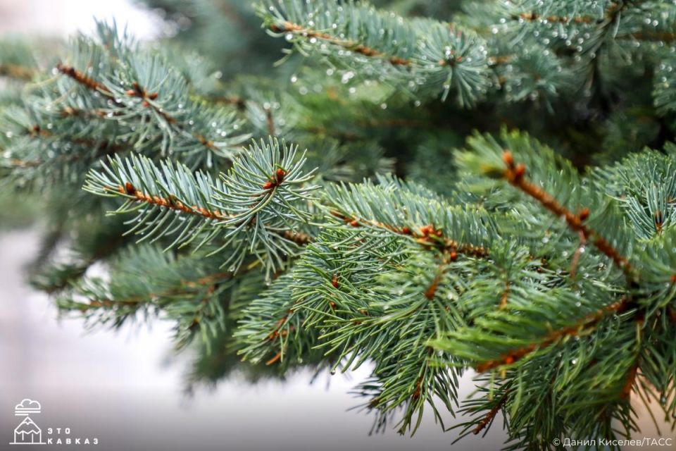 ����������� ��������� �� ����� ����������