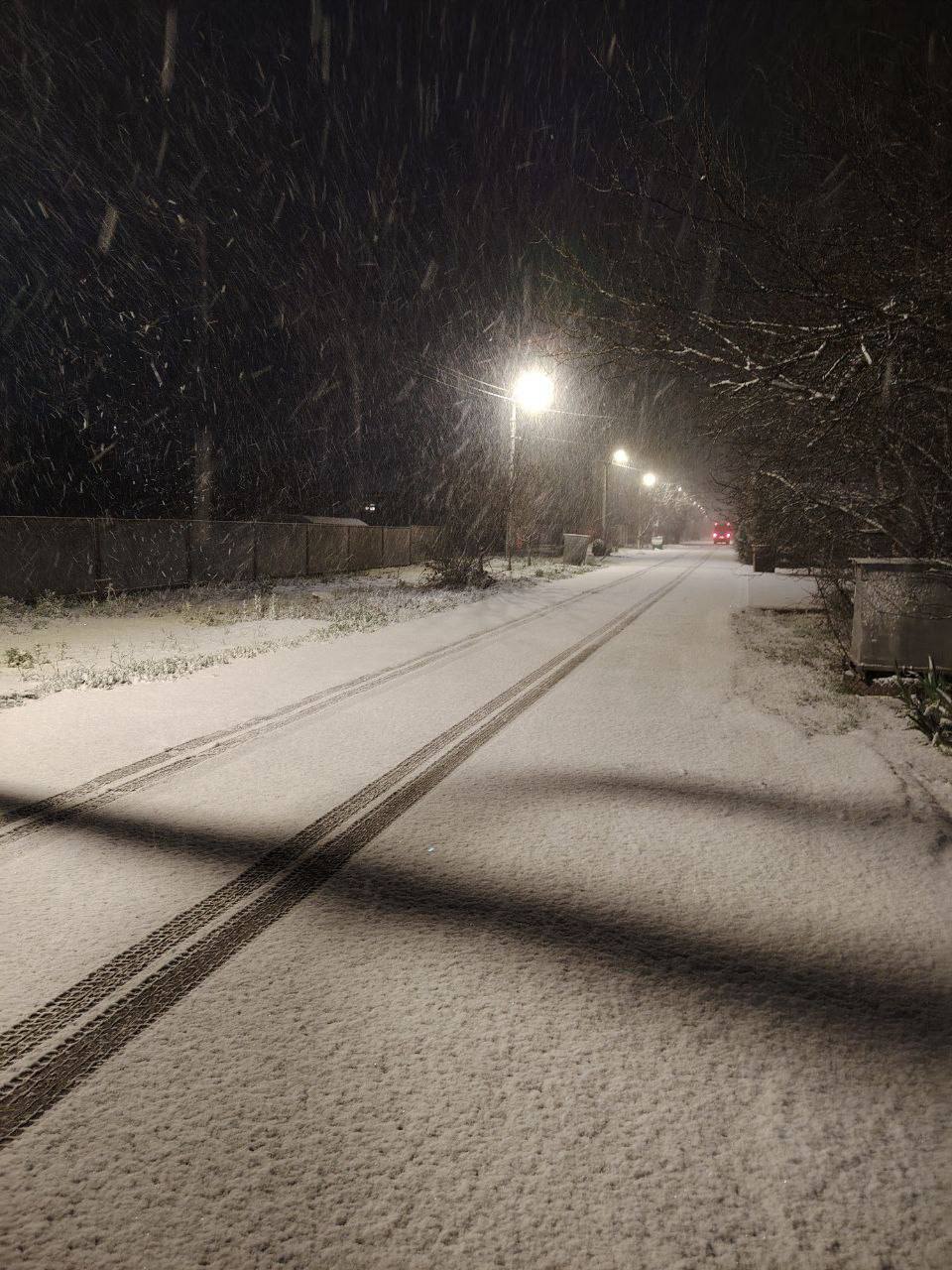 Цветы в Ставрополе явно не ожидали изменения погоды Цветы в Ставрополе явно не ожидали изменения погоды