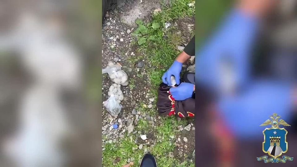 ���������� ���� ����� 6 �� ����������� � ����������� �������� ����������� � �������������� ����