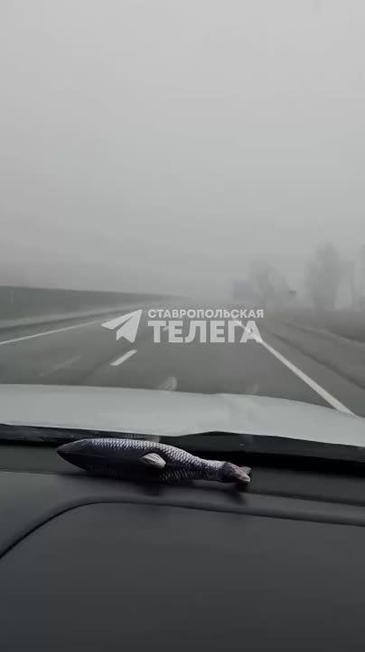 ������ ����� ������ ������� ����������