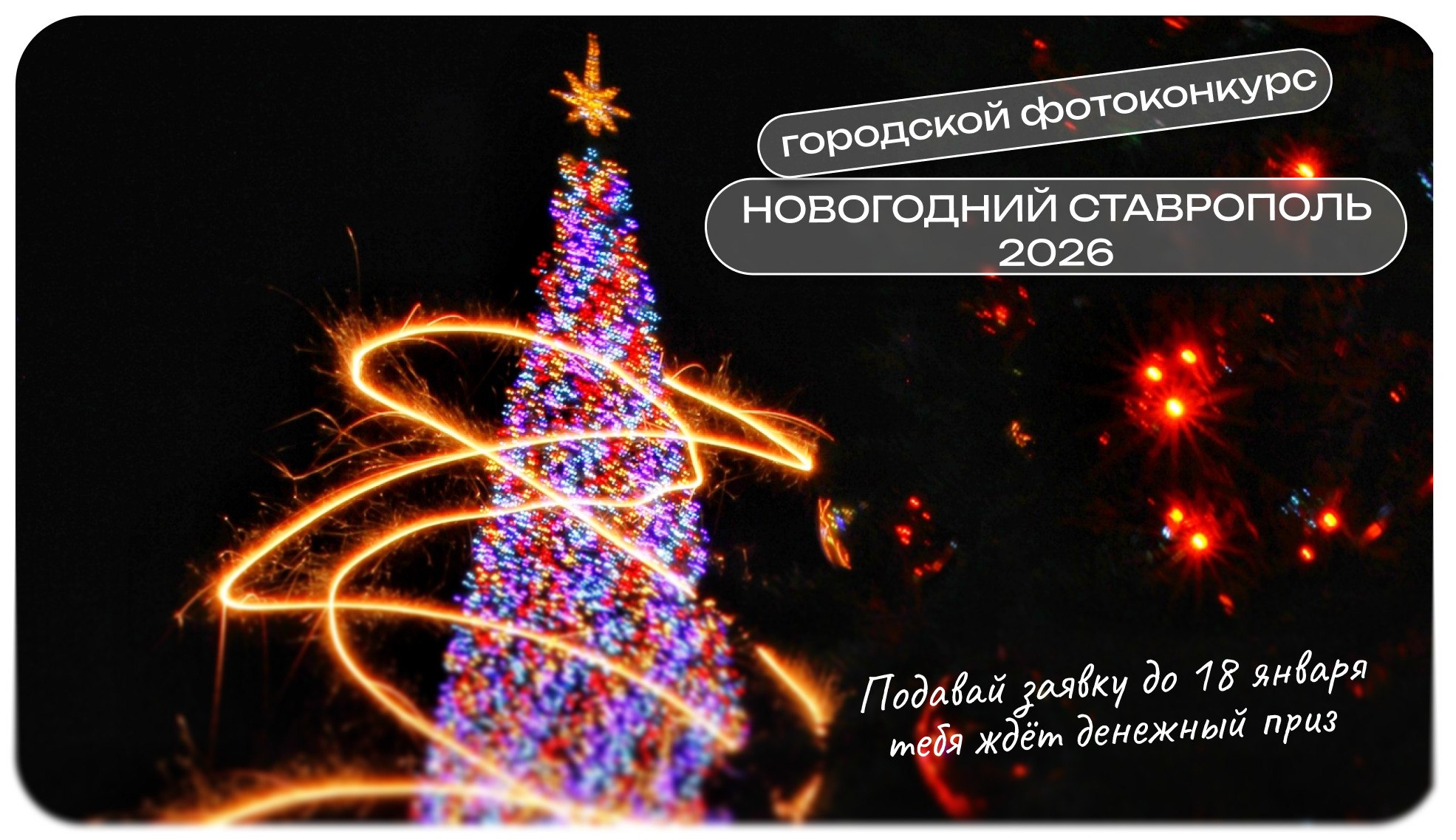 В Ставрополе совместно с бизнесом завершилось обновление одного из самых популярных рынков юго-западного района города В Ставрополе совместно с бизнесом завершилось обновление одного из самых популярных рынков юго-западного района города