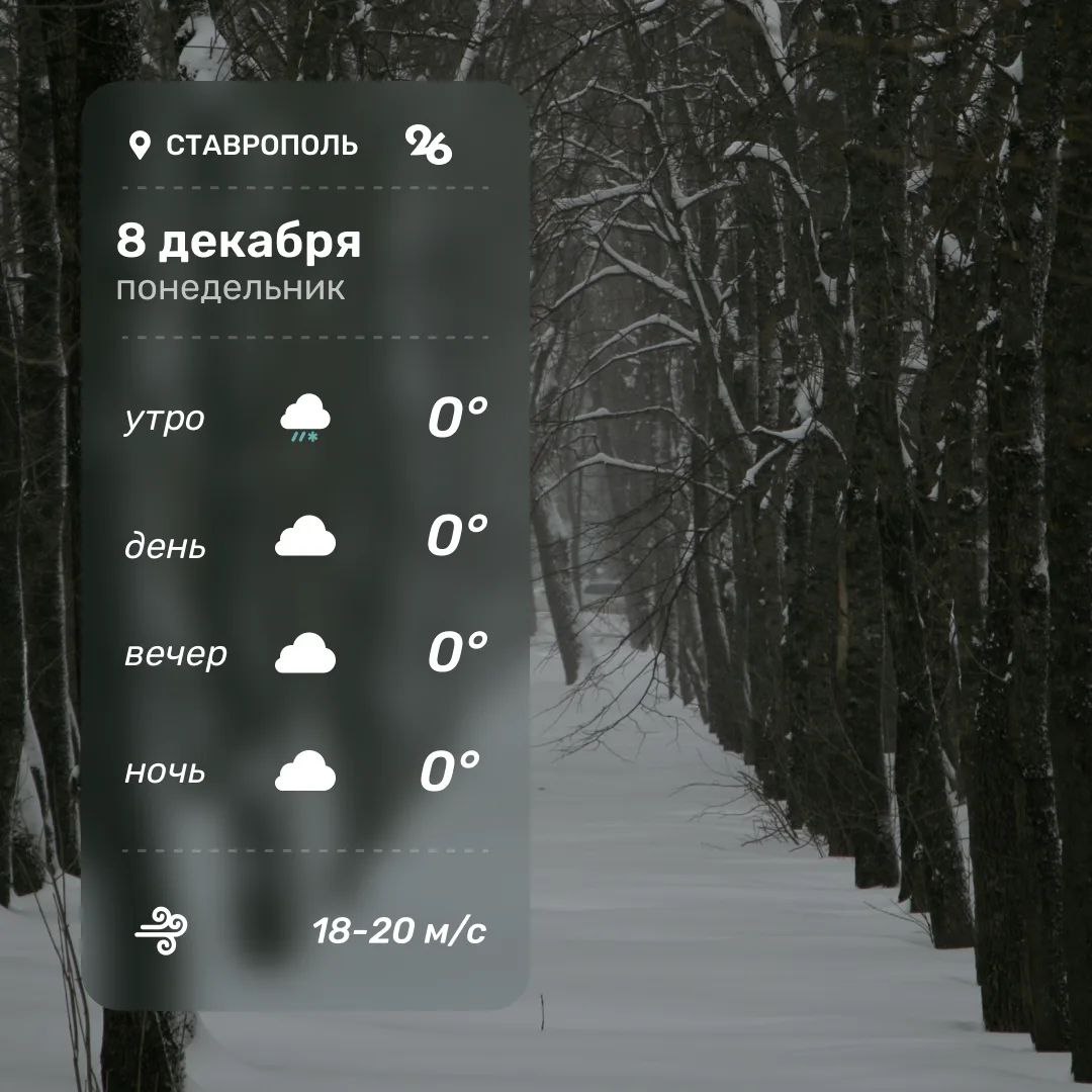 Доброе утро! Нет, это не ошибка — весь день будет 0°