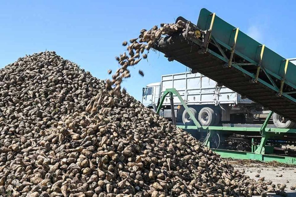 1 ����������� ������� ��������� ������ �������� ������