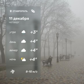 Погода в Ставрополе 11 декабря