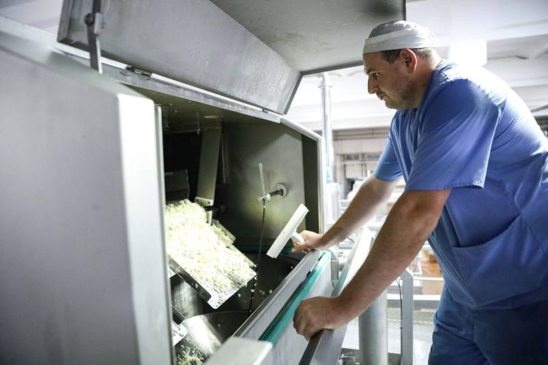 Эксперты спрогнозировали ТОП-5 востребованных профессий на Ставрополье к 2031 году